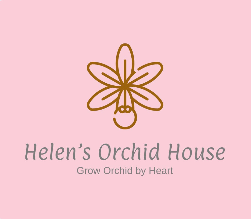 Helen's Orchid House